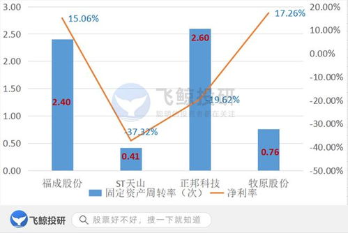 排雷必備 巧用固定資產篩選企業，優化企業資產管理